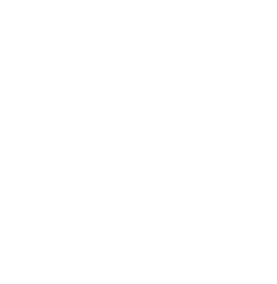 New India Assurance